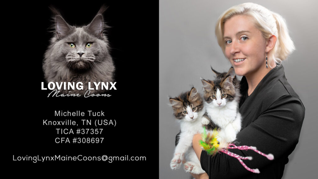 loving-lynx-Buisness-Card