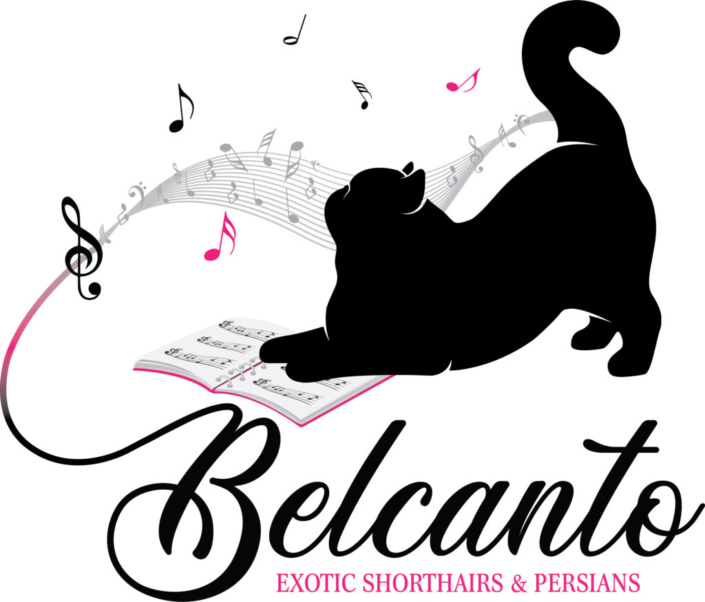 Belcanto-Logo